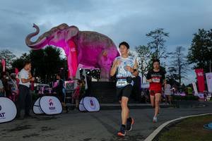 BIB: 
                            <button type="button" onclick="openModal(26529595)" class="btn btn-primary btn-sm float-right btn-popup" data-toggle="modal" data-target=".modal-high-quality">
                        <i class="fas fa-shopping-cart"></i> Add to Cart
                    </button>
                                            <button type="button" onclick="isThisMe(26529595, true)" class="btn btn-success btn-sm float-right btn-popup btn-isme hidden" data-toggle="tooltip" data-placement="bottom" title="นี่คือรูปของคุณใช่ไหม คลิกที่นี่เพื่อเอาเข้าอัลบั้ม">
                        <i class="fas fa-plus"></i> Add to album
                    </button>
                    <button type="button" onclick="isThisMe(26529595, false)" class="btn btn-warning btn-sm float-right btn-popup btn-isnotme hidden">
                        <i class="fas fa-ban"></i> Remove from album
                    </button>